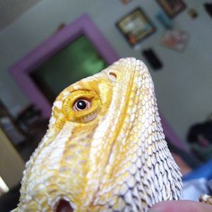 Meet your Posher, Melanie